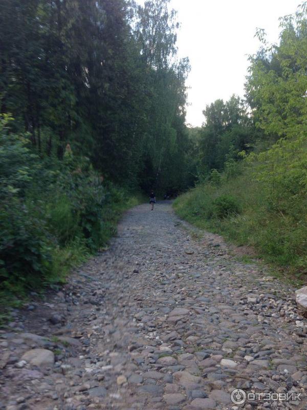 Дорога, Плёс