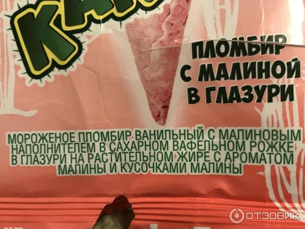 Мороженое чистая линия Веселый кактус малиновый фото