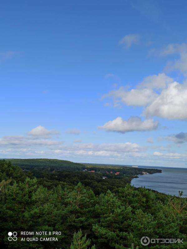 Достопримечательности Зеленоградска (Россия) фото