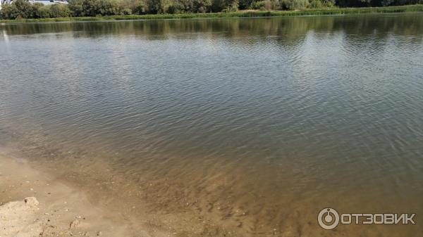 Село Верхний мамон (Россия, Воронежская область) фото