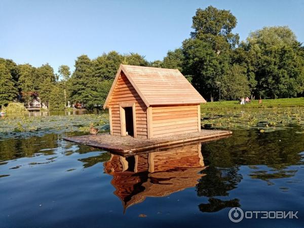 Прогулка на катамаране по Тортилиному пруду (Россия, Зеленоградск) фото