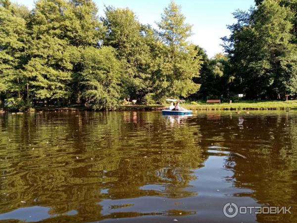 Прогулка на катамаране по Тортилиному пруду (Россия, Зеленоградск) фото