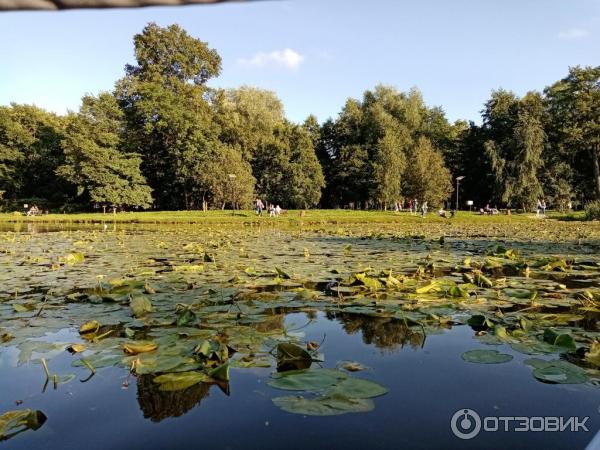 Прогулка на катамаране по Тортилиному пруду (Россия, Зеленоградск) фото