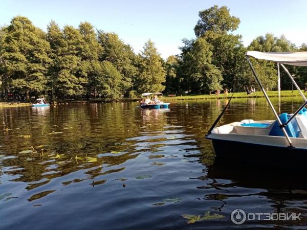 Прогулка на катамаране по Тортилиному пруду (Россия, Зеленоградск) фото