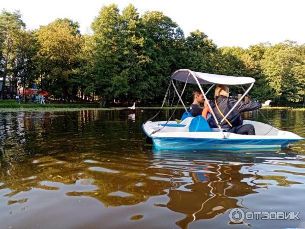 Прогулка на катамаране по Тортилиному пруду (Россия, Зеленоградск) фото