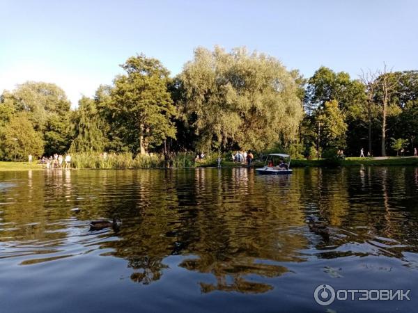 Прогулка на катамаране по Тортилиному пруду (Россия, Зеленоградск) фото