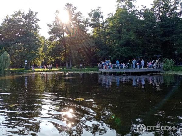 Прогулка на катамаране по Тортилиному пруду (Россия, Зеленоградск) фото