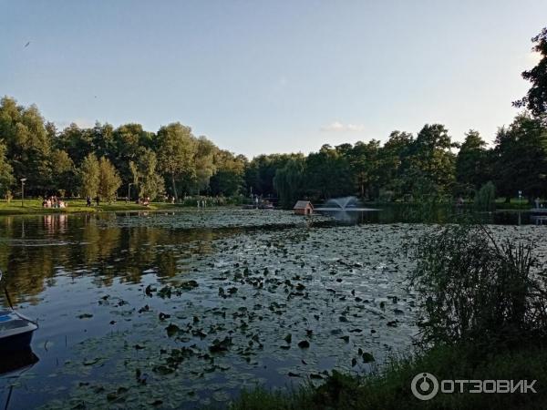 Прогулка на катамаране по Тортилиному пруду (Россия, Зеленоградск) фото