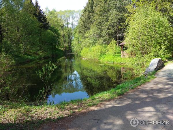 Дендрологический парк (Россия, Переславль-Залесский) фото