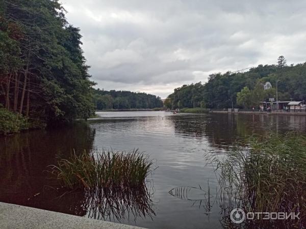 Озеро Тихое (Россия, Светлогорск) фото