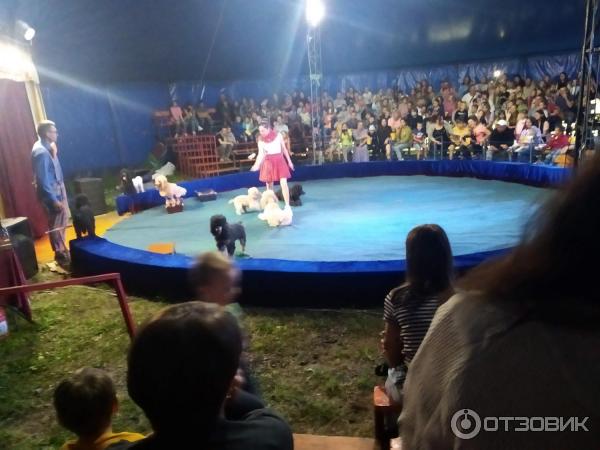 Цирк-шапито Family Circus (Украина, Киев)