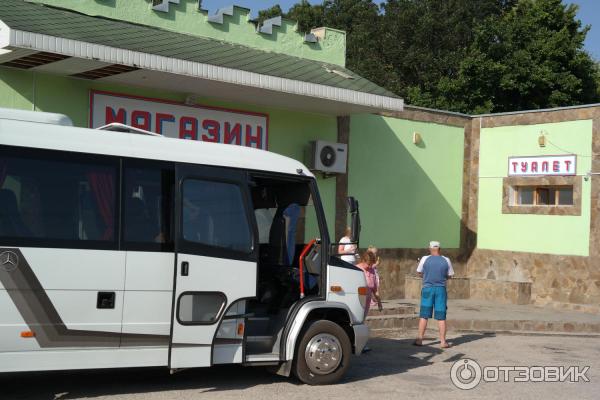 Экскурсия Никитский ботанический сад - Воронцовский дворец - Ласточкино гнездо - Набережная Ялты (Крым) фото