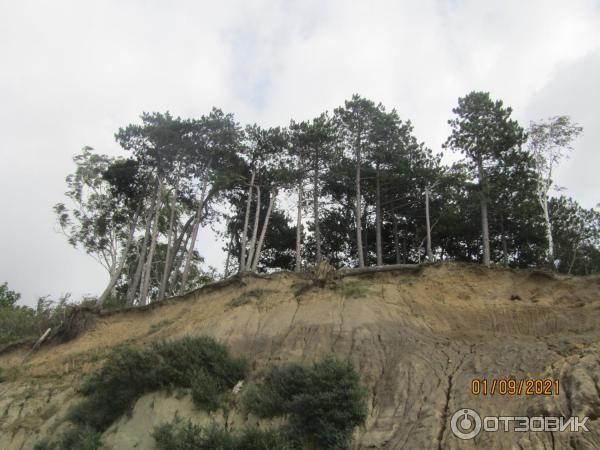 Пляж п. Донское (Россия, Калининградская область) фото