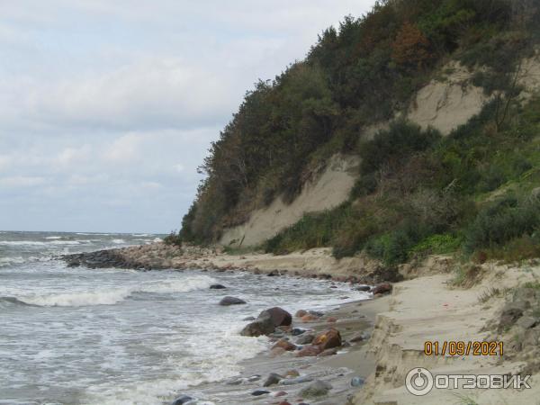 Пляж п. Донское (Россия, Калининградская область) фото