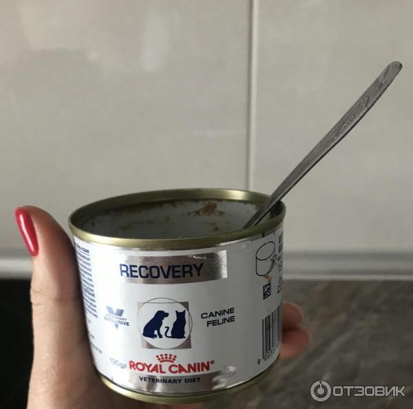 Корм для кошек и собак Royal Canin Recovery фото