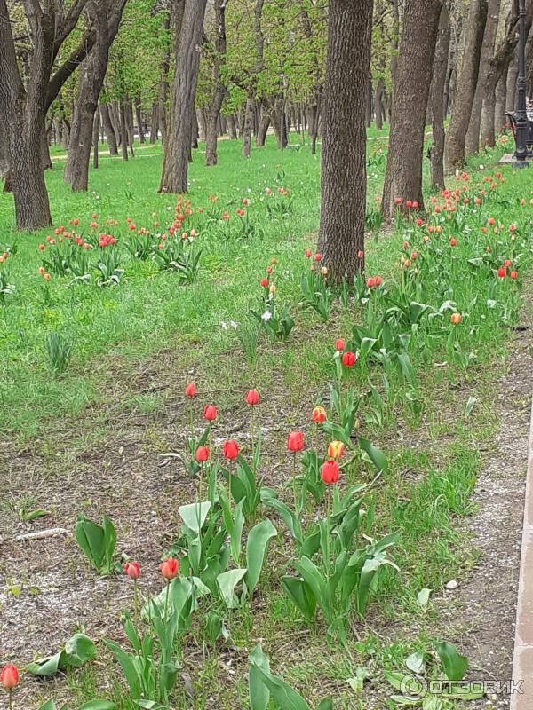 Санаторий Шахтер (Россия, Ессентуки) фото