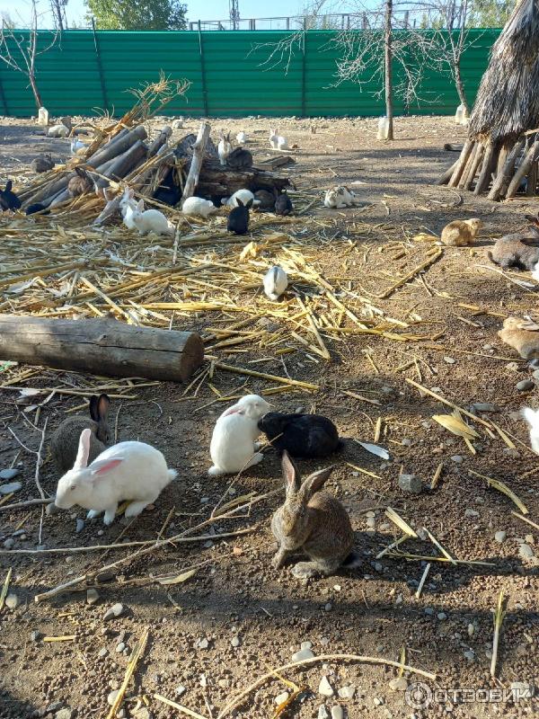 Курорт Солнечный берег (Болгария, Несебр) фото