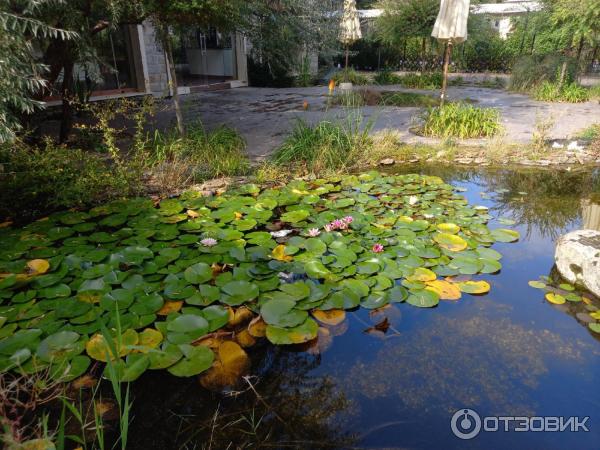 Курорт Солнечный берег (Болгария, Несебр) фото