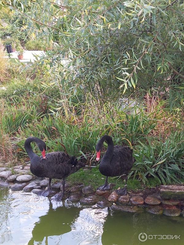Курорт Солнечный берег (Болгария, Несебр) фото