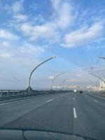 Платная дорога ЗСД (Западный Скоростной Диаметр) фото