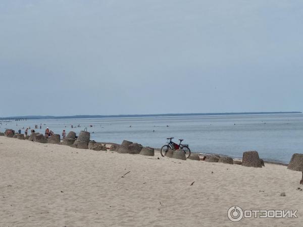 Пляжи Зеленоградска (Россия, Калининградская область) фото