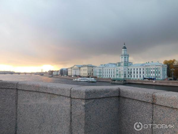 Зоологический музей (Россия, Санкт-Петербург) фото