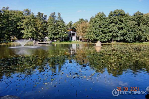 Тортилин пруд в городском парке Зеленоградска, Калининградская область.