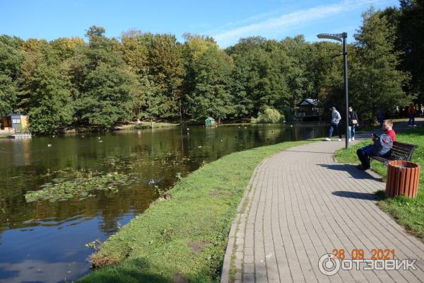 Городской парк в Зеленоградске, Калининградская область.