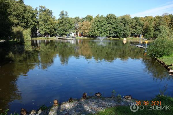 Городской парк в Зеленоградске, Калининградская область.