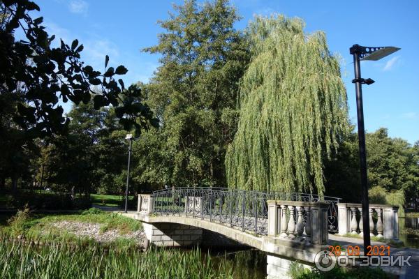 Городской парк в Зеленоградске, Калининградская область.