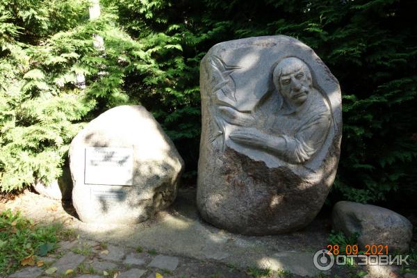 Городской парк в Зеленоградске, Калининградская область.