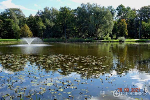 Городской парк в Зеленоградске, Калининградская область.