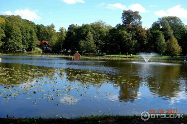 Тортилин пруд в Зеленоградске, Калининградская область.