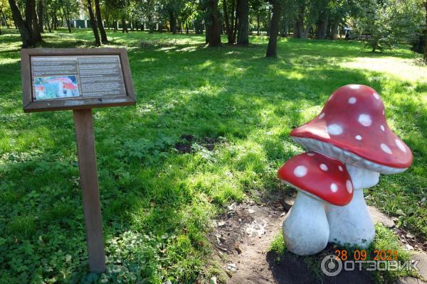 Городской парк в Зеленоградске, Калининградская область.