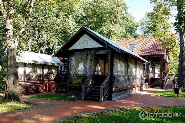 Городской парк в Зеленоградске, Калининградская область.