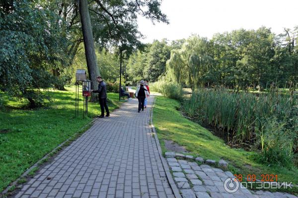 Городской парк в Зеленоградске, Калининградская область.