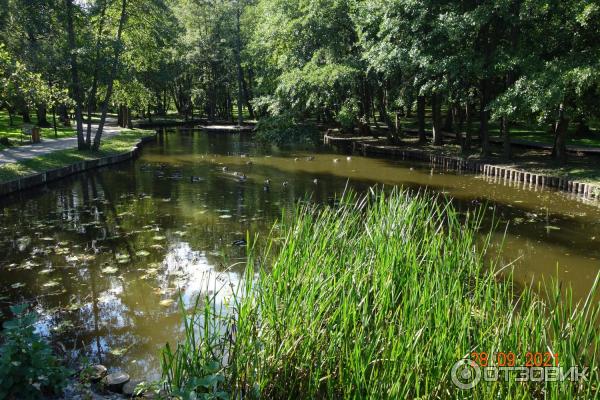 Городской парк в Зеленоградске, Калининградская область.