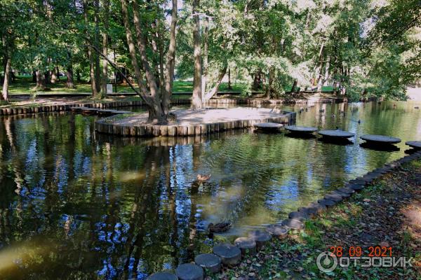 Городской парк в Зеленоградске, Калининградская область.