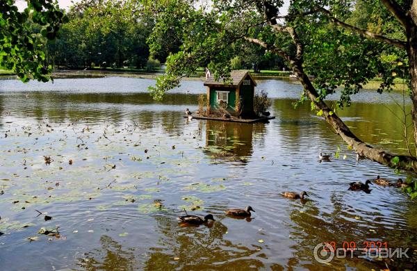 Городской парк в Зеленоградске, Калининградская область.