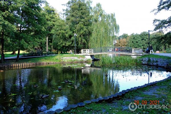 Городской парк в Зеленоградске, Калининградская область.