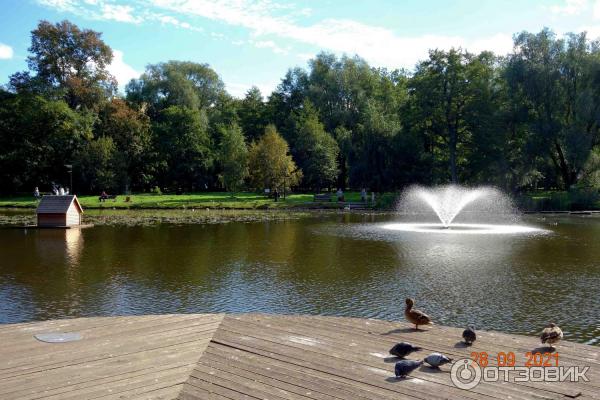 Городской парк в Зеленоградске, Калининградская область.