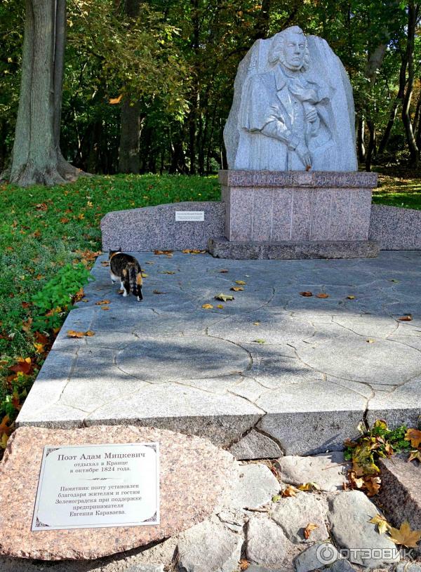 Городской парк в Зеленоградске, Калининградская область.