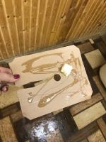 Клей от грызунов и насекомых "Чистый дом" фото