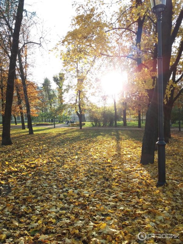 Усадебный сад Г. Р. Державина Польский сад (Россия, Санкт-Петербург) фото