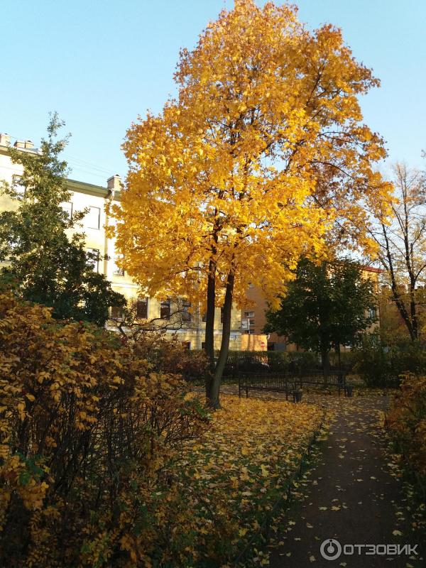 Усадебный сад Г. Р. Державина Польский сад (Россия, Санкт-Петербург) фото