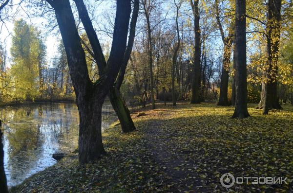 река Таракановка в районе парка