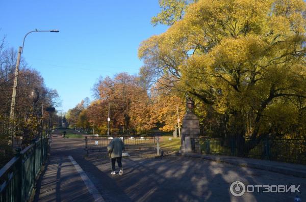 Мостик на месте соединения Бумажного канала и Таракановки