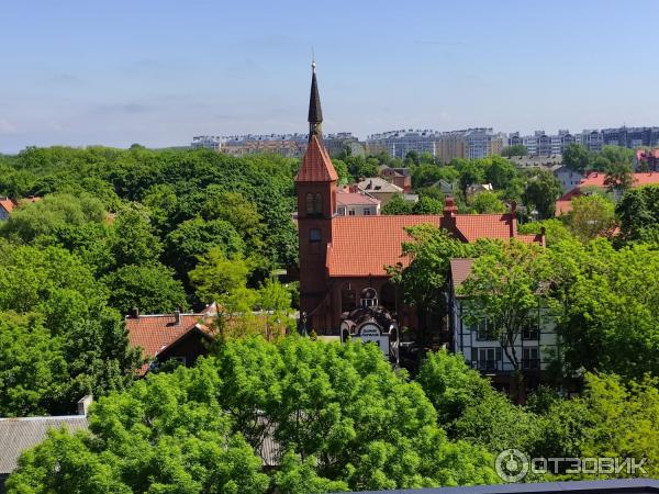 Достопримечательности Зеленоградска (Россия, Калининградская область) фото