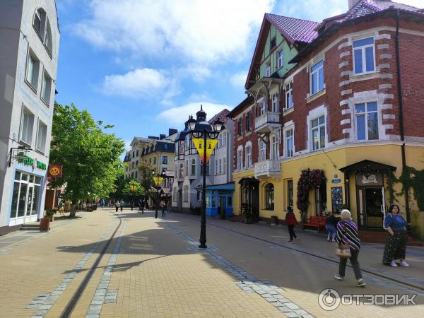 Достопримечательности Зеленоградска (Россия, Калининградская область) фото