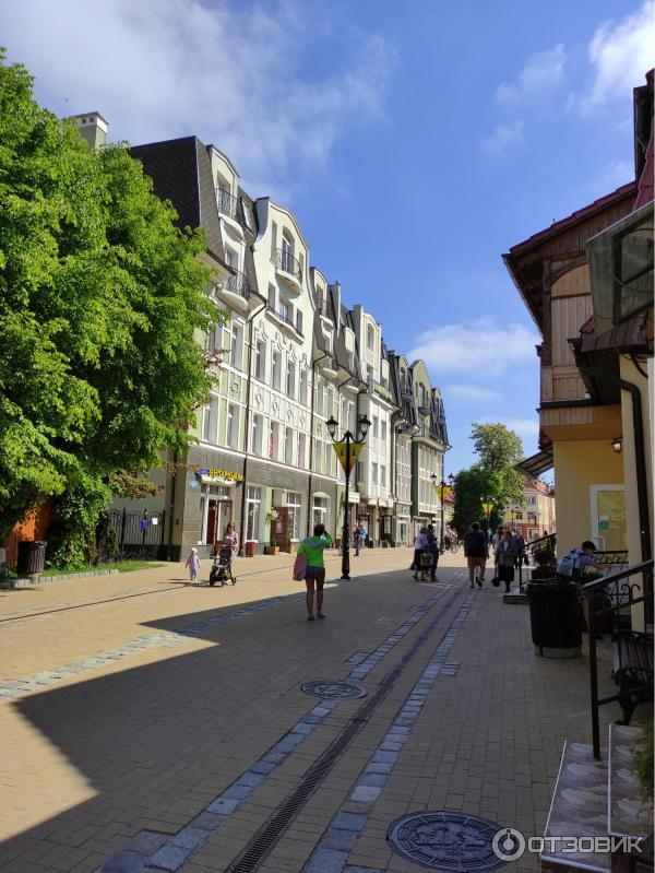 Достопримечательности Зеленоградска (Россия, Калининградская область) фото